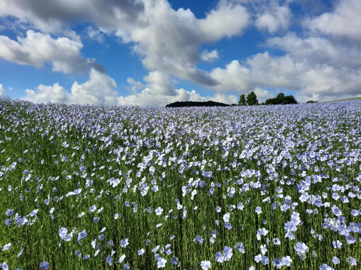 Le Clos Brayon Saint-Honore  Esterno foto
