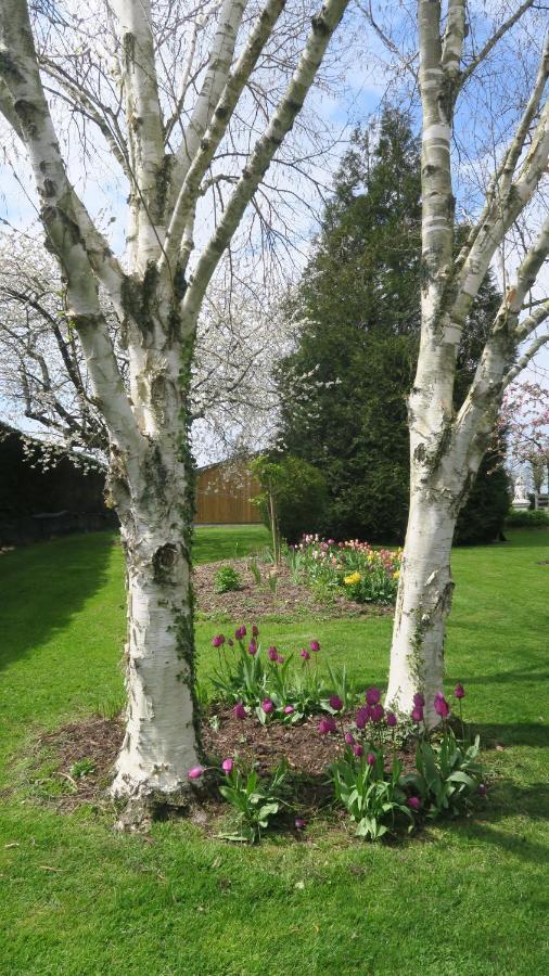 Le Clos Brayon Saint-Honore  Esterno foto