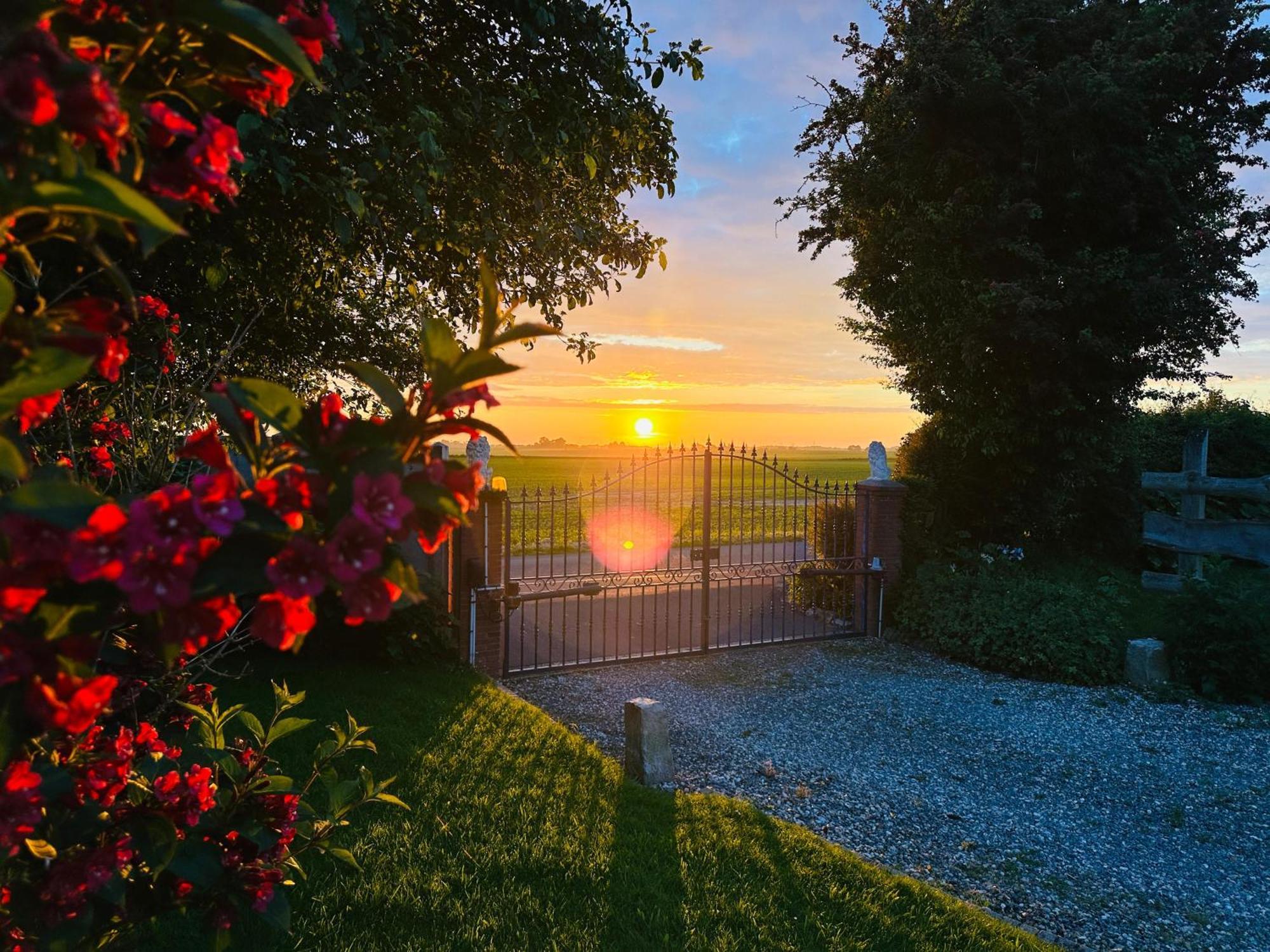 Le Clos Brayon Saint-Honore  Esterno foto